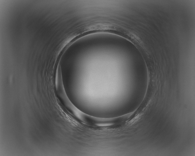 X0000052991081200507081143