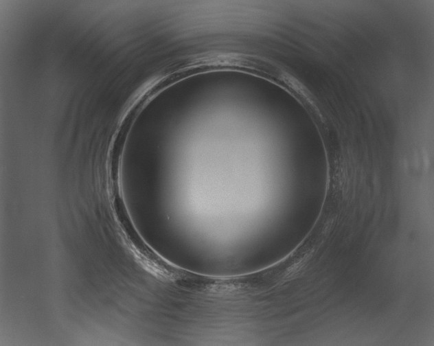 X0000052991082200507081143