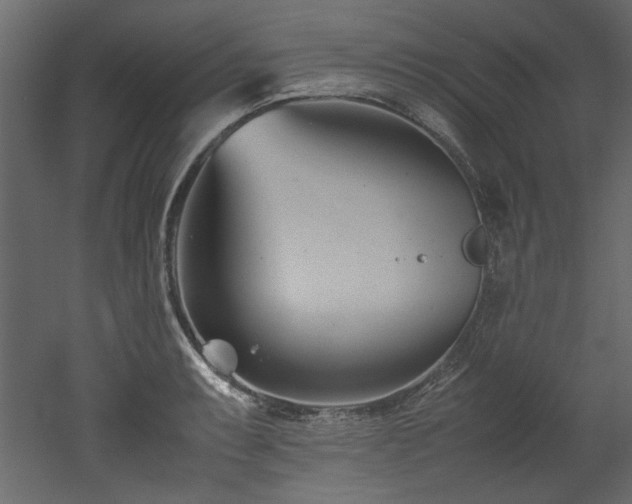 X0000052991087200507081143