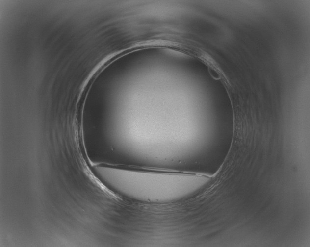 X0000052991092200507081143
