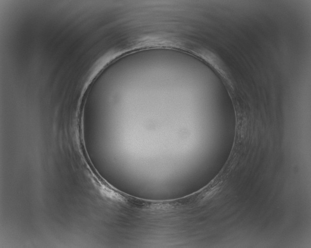 X0000052991094200507081143