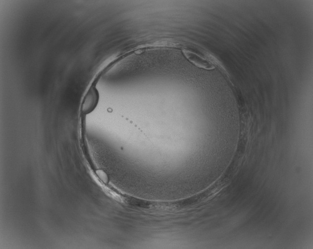 X0000052991095200507081143