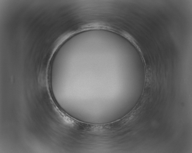 X0000052991098200507081142