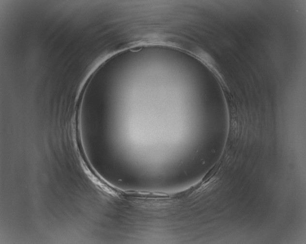 X0000052991100200507081142