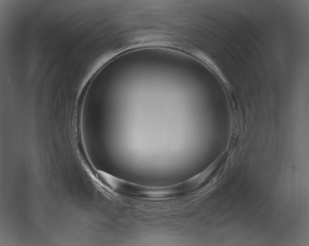 X0000052991101200507081142