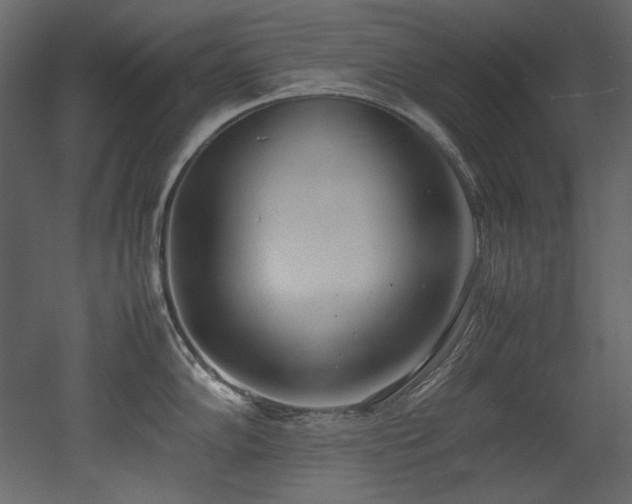 X0000052991102200507081142