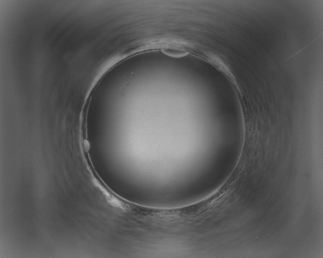 X0000052991103200507081142