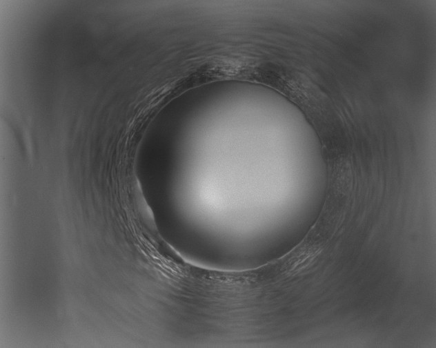 X0000052991105200507081142