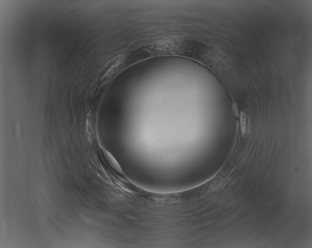 X0000052991107200507081142