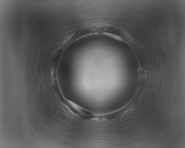 X0000052991108200507081142
