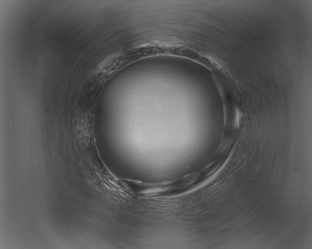 X0000052991110200507081142