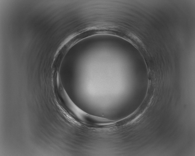 X0000052991114200507081142