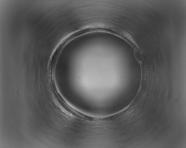 X0000052991116200507081142