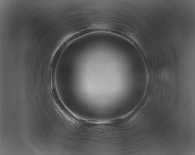 X0000052991123200507081142
