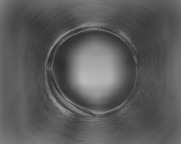 X0000052991124200507081142