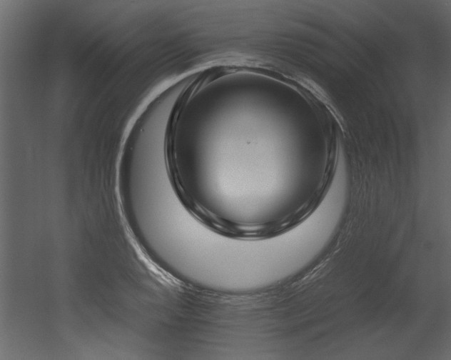 X0000052991128200507081142
