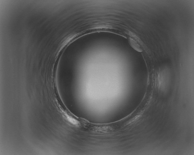 X0000052991129200507081142