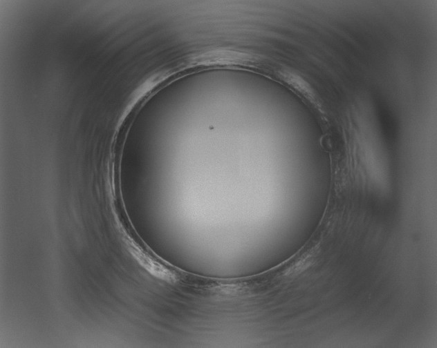 X0000052991130200507081142