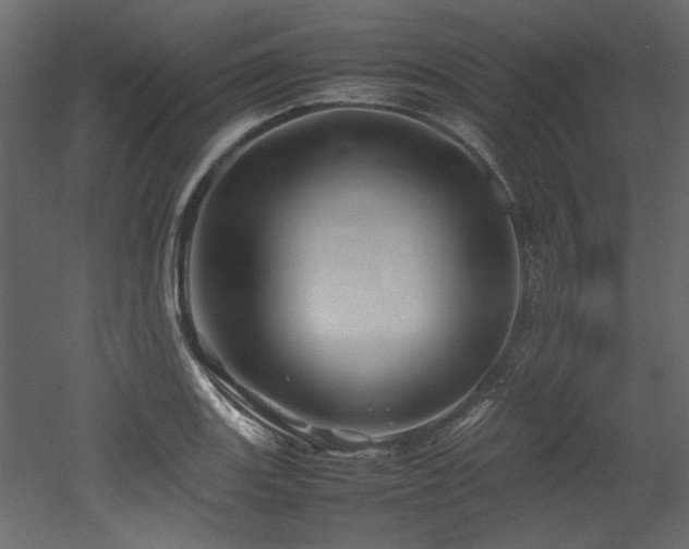 X0000052991131200507081142