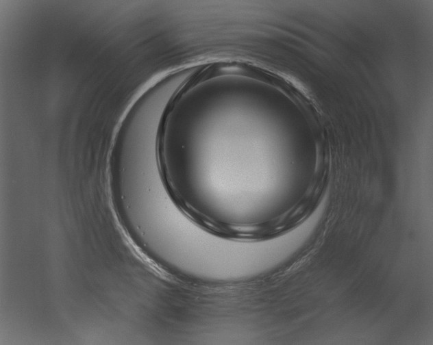 X0000052991134200507081142