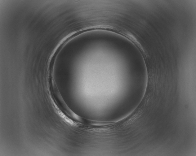 X0000052991140200507081142