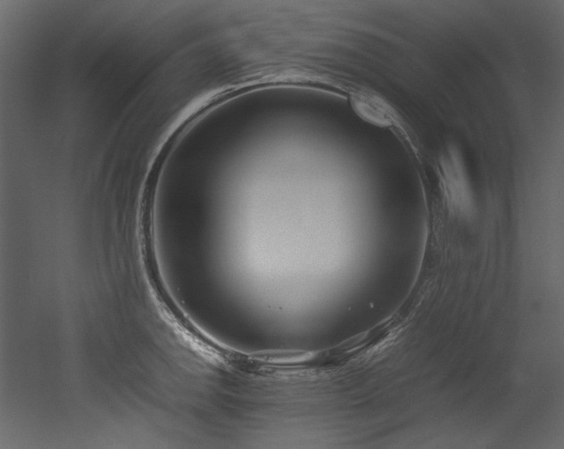 X0000052991142200507081142