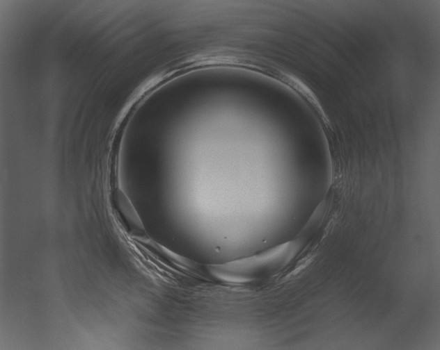 X0000052991146200507081142