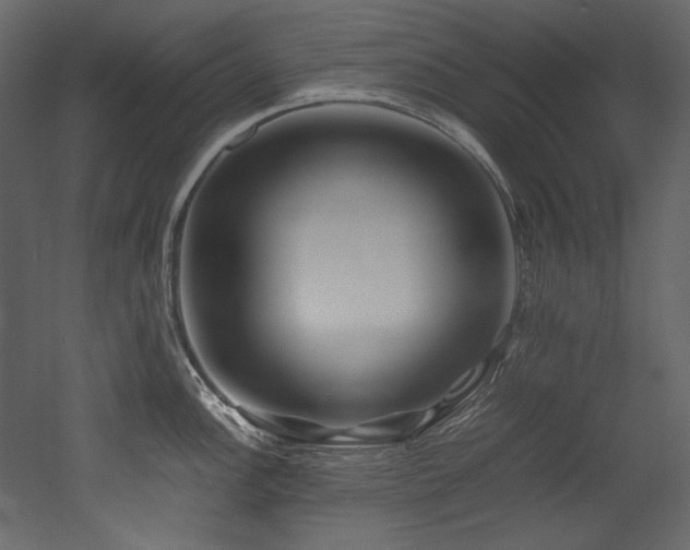 X0000052991148200507081142