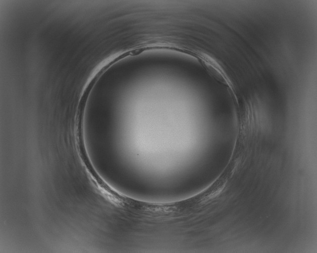 X0000052991149200507081142