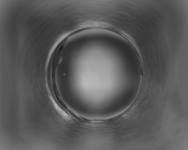 X0000052991152200507081142