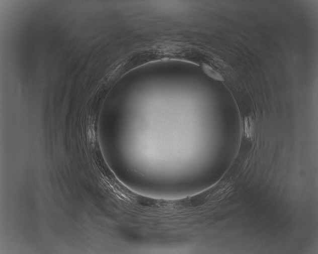 X0000052991155200507081141