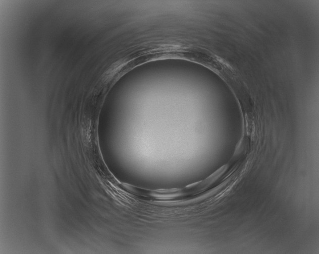 X0000052991161200507081141