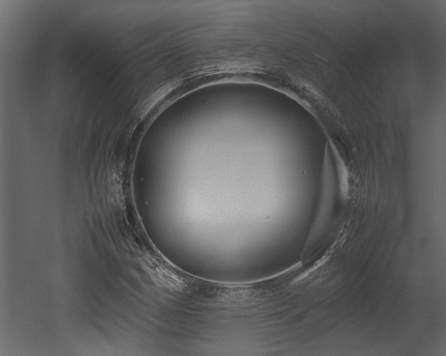 X0000052991162200507081141