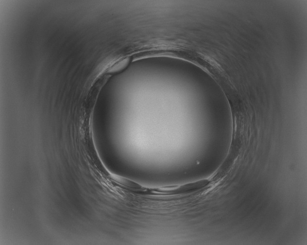 X0000052991163200507081141