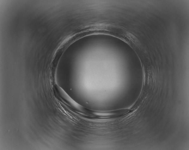 X0000052991164200507081141