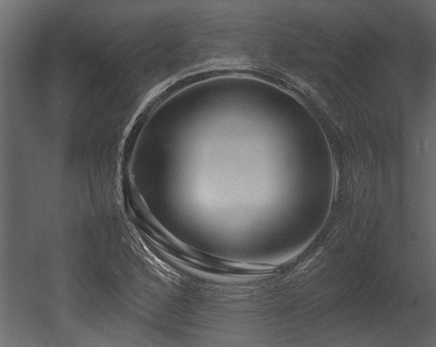 X0000052991168200507081141