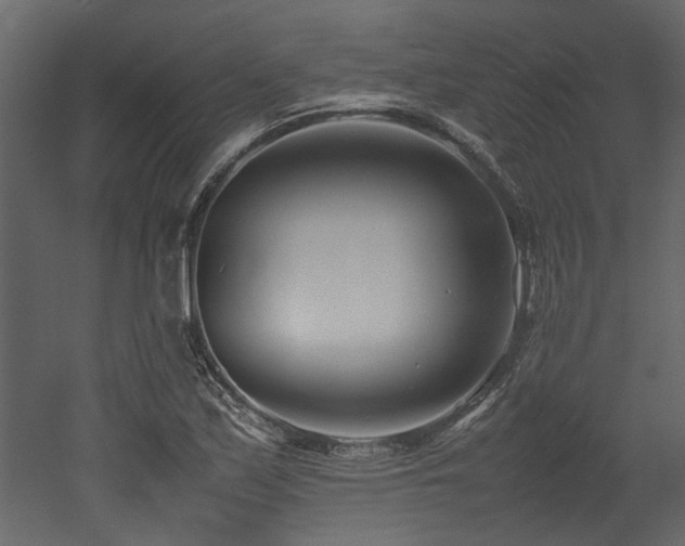 X0000052991171200507081141