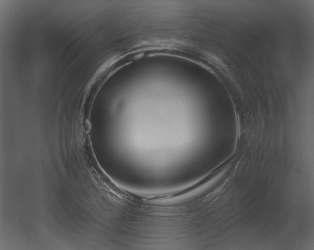 X0000052991172200507081141