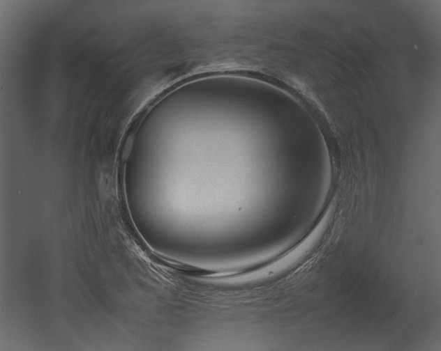 X0000052991173200507081141