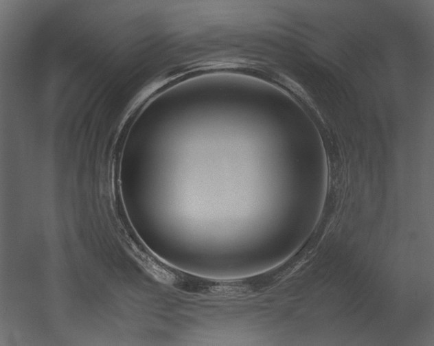 X0000052991179200507081141
