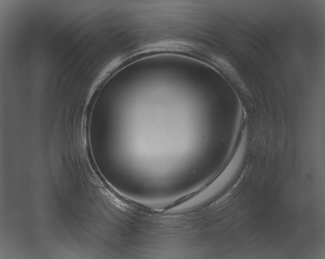 X0000052991180200507081141
