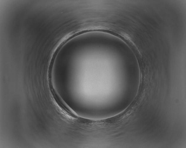 X0000052991181200507081141