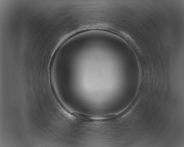 X0000052991184200507081141