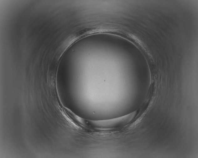 X0000052991185200507081141