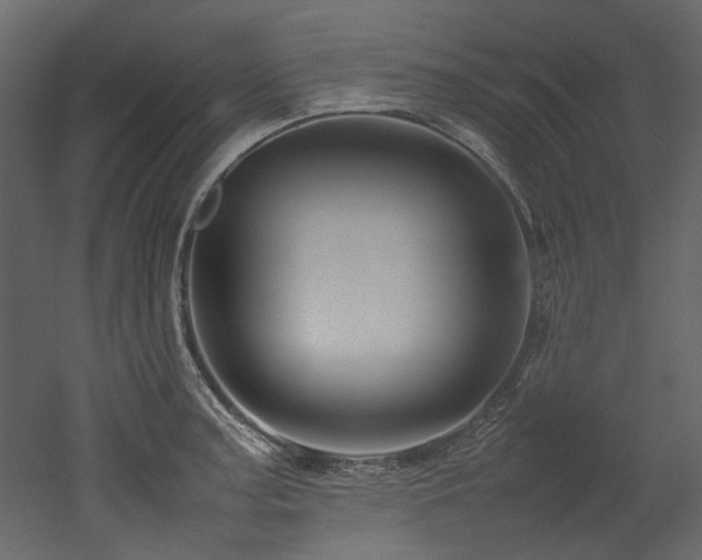 X0000052991187200507081141