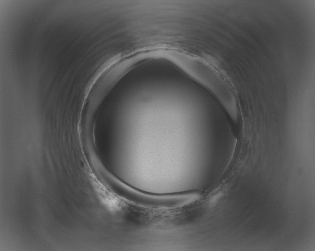 X0000052991189200507081141