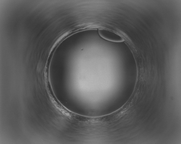 X0000052991190200507081141