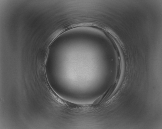 X0000052991193200507081141