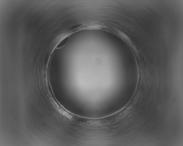 X0000052991194200507081141