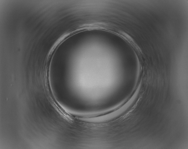 X0000052991196200507081141